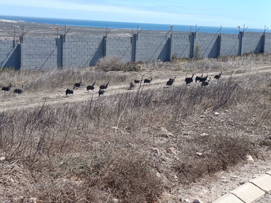 Commercial Property for Sale in Hoogland Western Cape